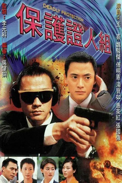 Póster de 保護證人組