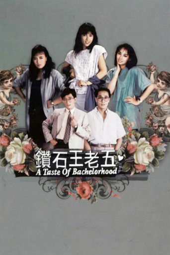 Póster de 鑽石王老五