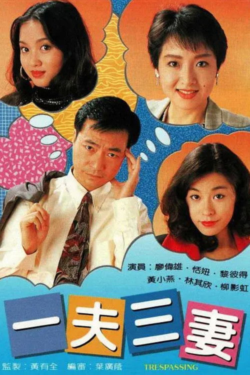 Póster de 一夫三妻