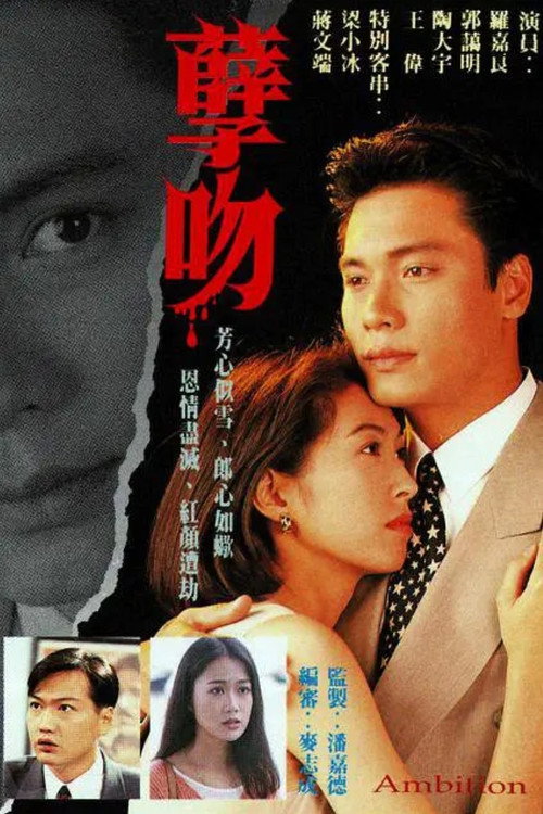 Póster de 孽吻