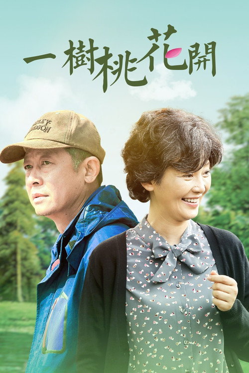 Póster de 一树桃花开