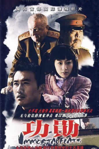 Póster de 功勋