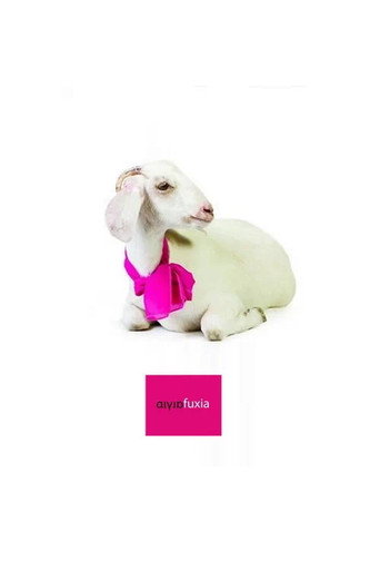 Póster de Aigia Fuxia