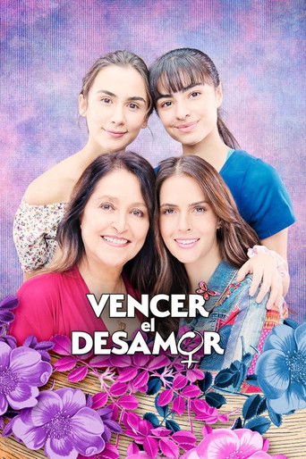 Póster de Vencer el Desamor