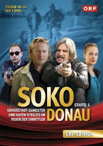 Póster de 祖先保佑