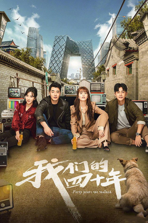 Póster de 我们的四十年