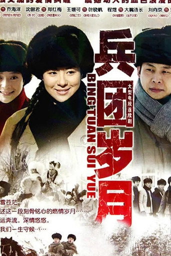Póster de 兵团岁月