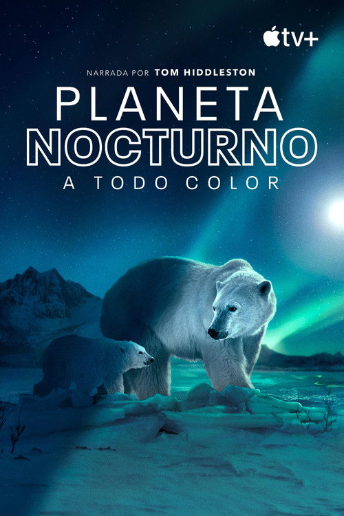 Póster de Planeta nocturno: A todo color