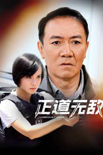 Póster de 正道无敌
