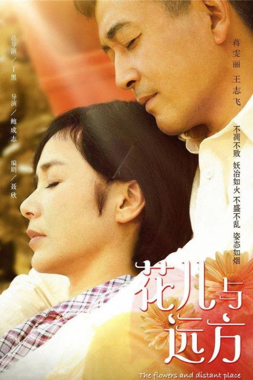 Póster de 花儿与远方