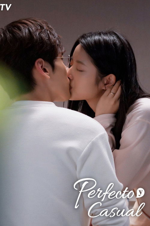 Póster de 完美先生和差不多小姐