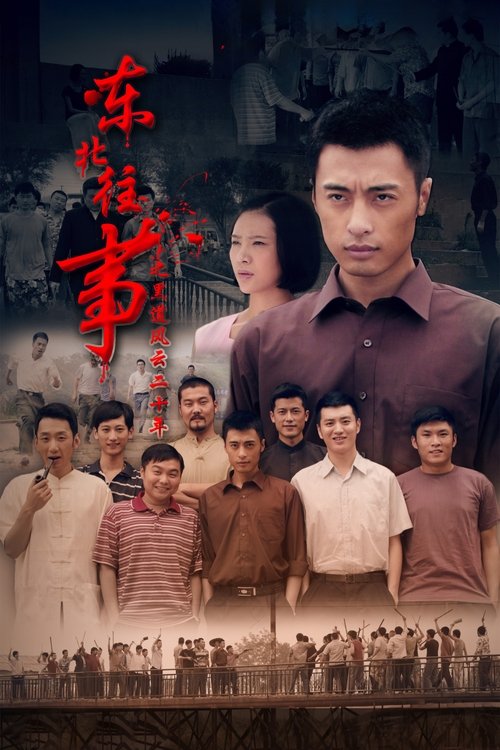 Póster de 东北往事之黑道风云20年