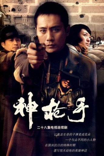Póster de 神枪手