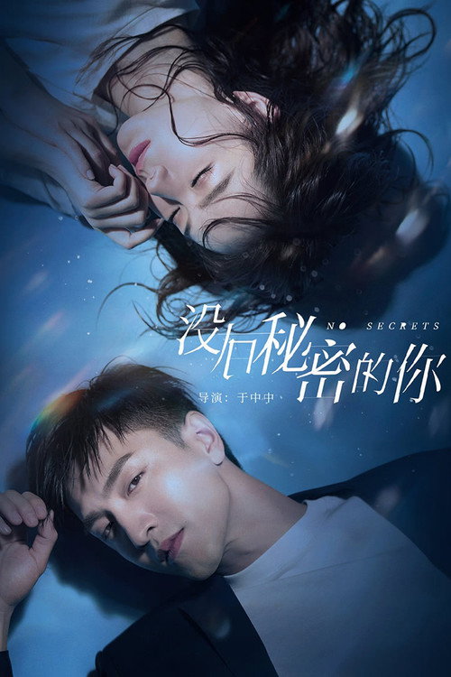 Póster de 没有秘密的你