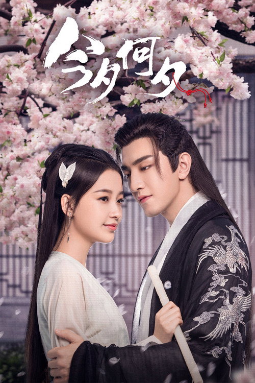 Póster de 今夕何夕