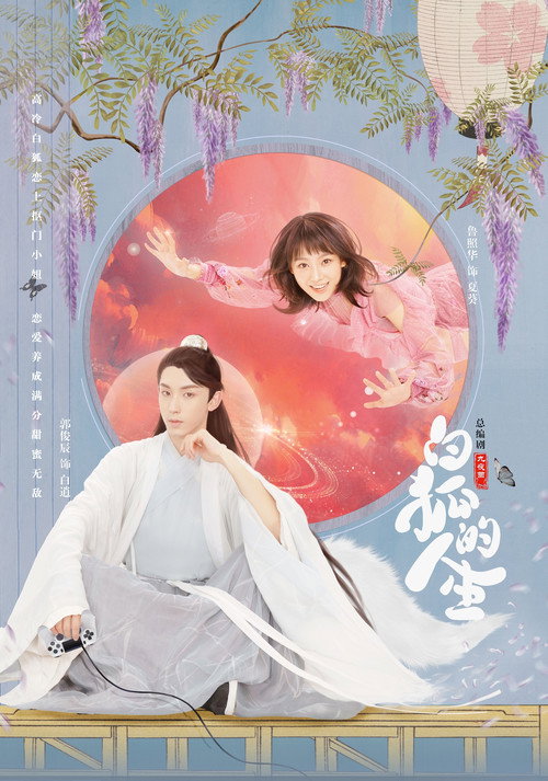 Póster de 白狐的人生