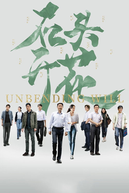 Póster de 石头开花