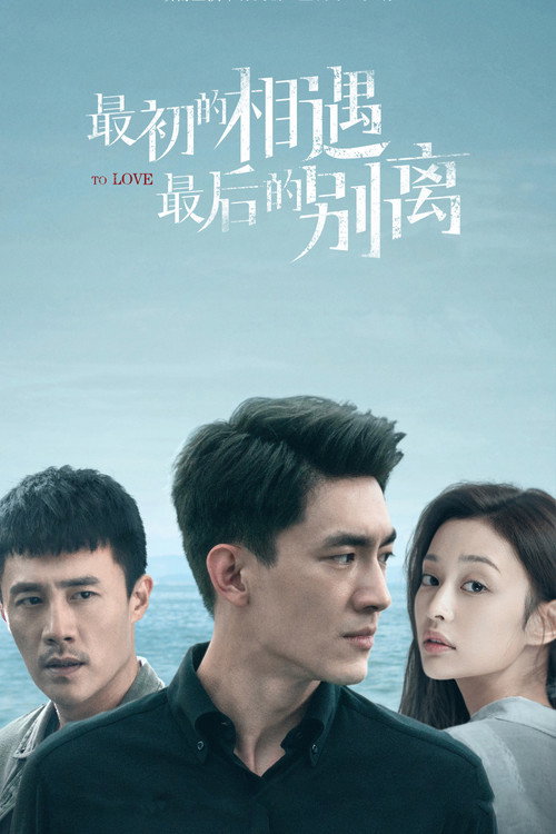 Póster de 最初的相遇，最后的别离