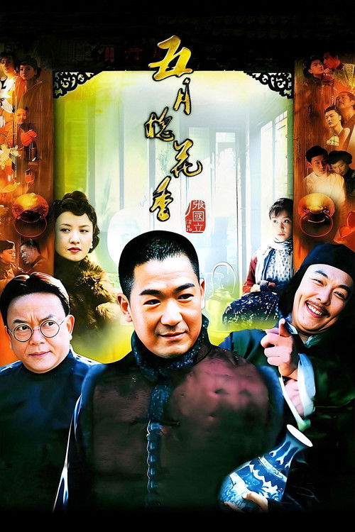 Póster de 五月槐花香