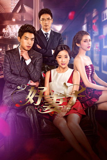 Póster de 好妻子