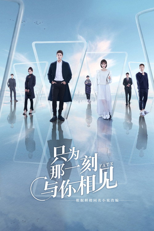 Póster de 只为那一刻与你相见