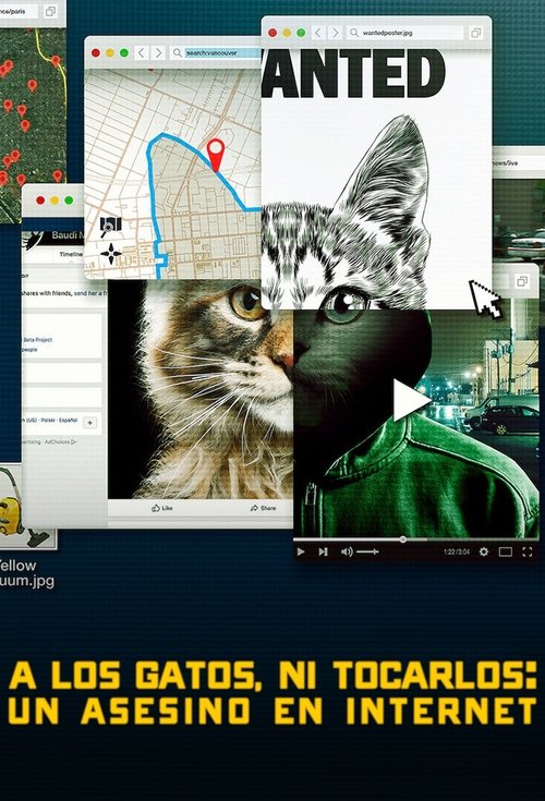 Póster de No te metas con los gatos: Un asesino en internet