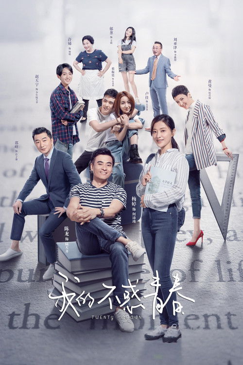 Póster de 我的不惑青春