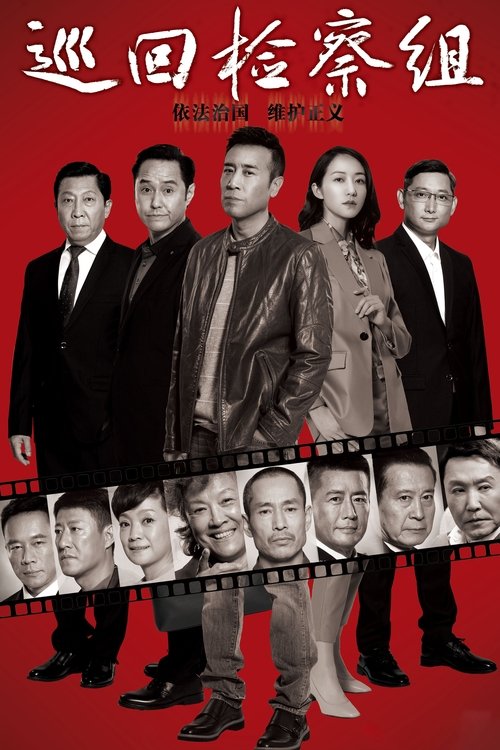 Póster de 巡回检察组
