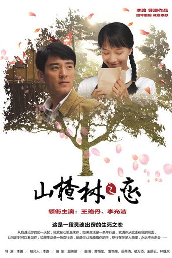 Póster de 山楂树之恋