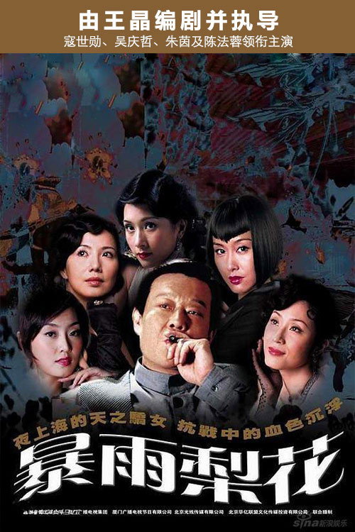 Póster de 暴雨梨花
