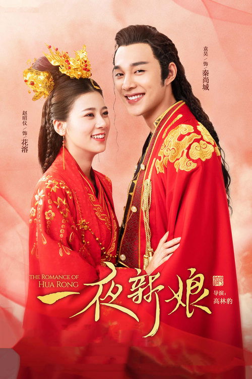 Póster de 一夜新娘