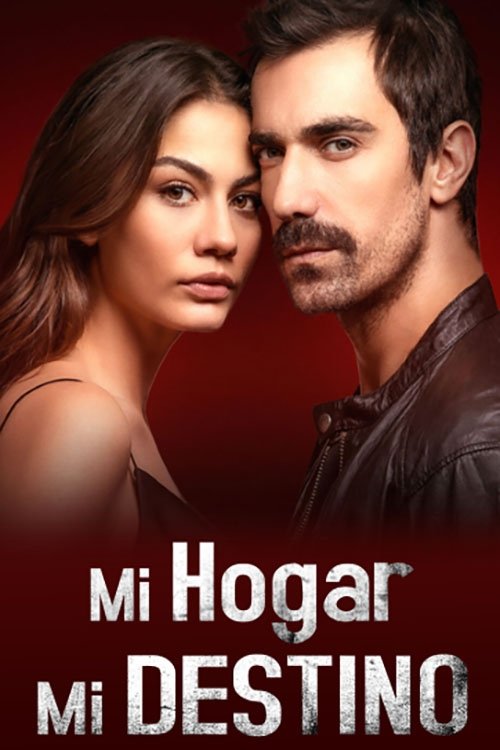 Póster de Mi casa mi destino