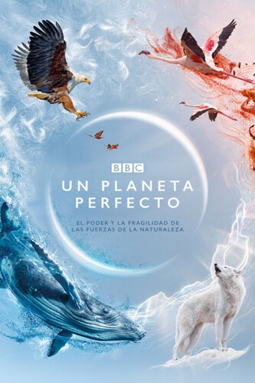 Póster de A Perfect Planet