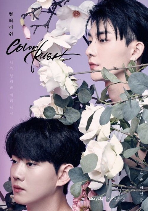 Póster de 컬러 러쉬