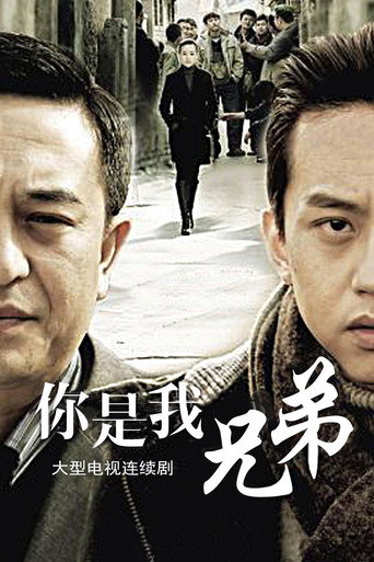 Póster de 你是我兄弟