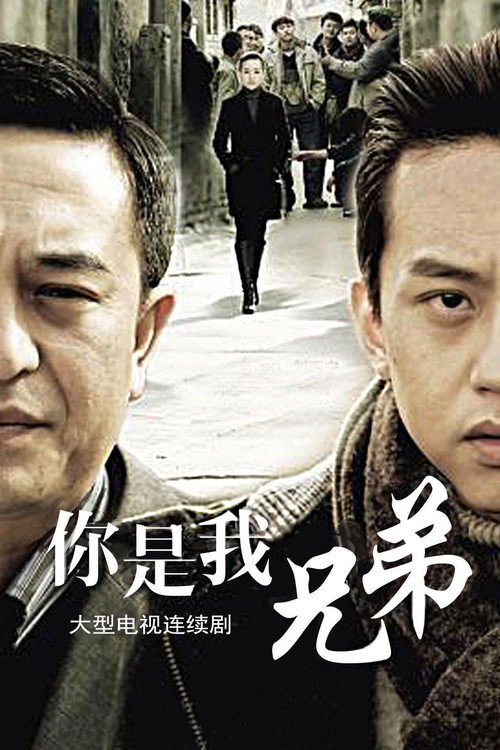 Póster de 你是我兄弟