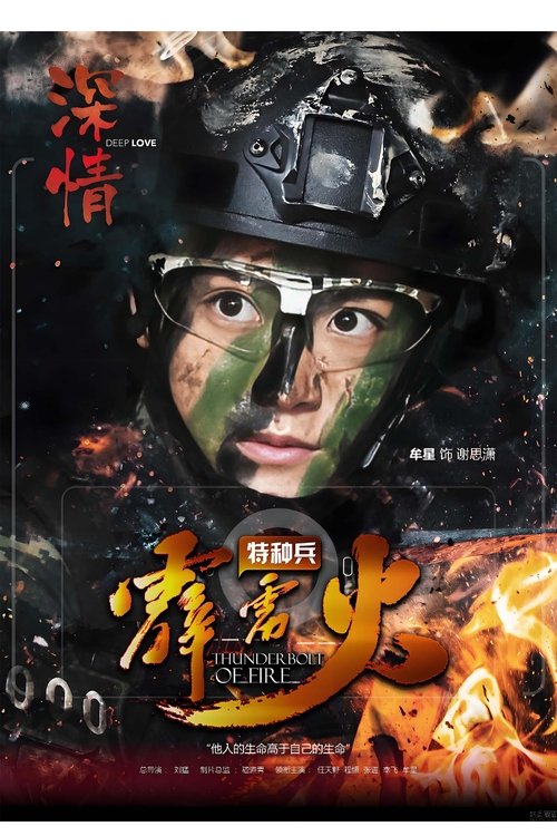 Póster de 特种兵之霹雳火