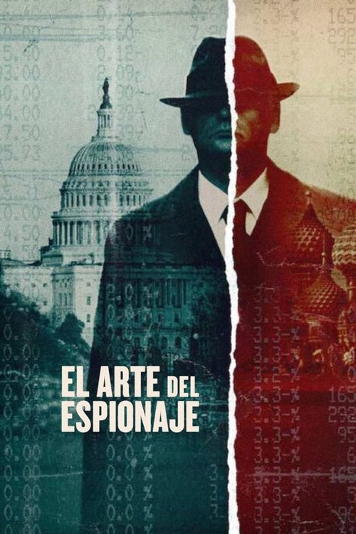 Póster de El arte del espionaje