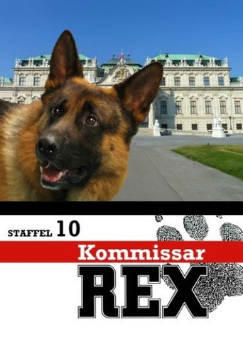 Póster de Vídeo Show