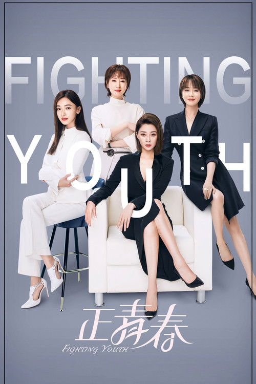 Póster de 正青春