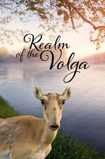 Póster de Im Reich der Wolga