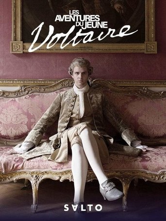 Póster de Les Aventures du jeune Voltaire