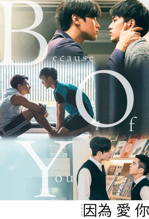 Póster de 2020因為愛你