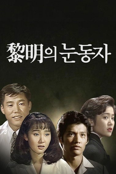 Póster de 여명의 눈동자