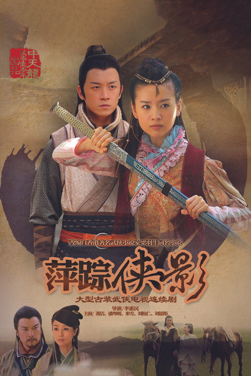 Póster de 新萍踪侠影