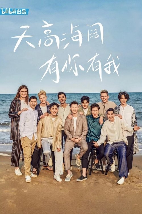 Póster de 非正式会谈